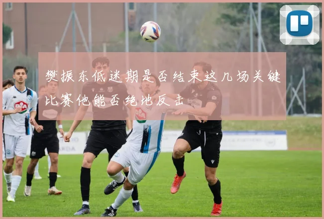 樊振东低迷期是否结束这几场关键比赛他能否绝地反击